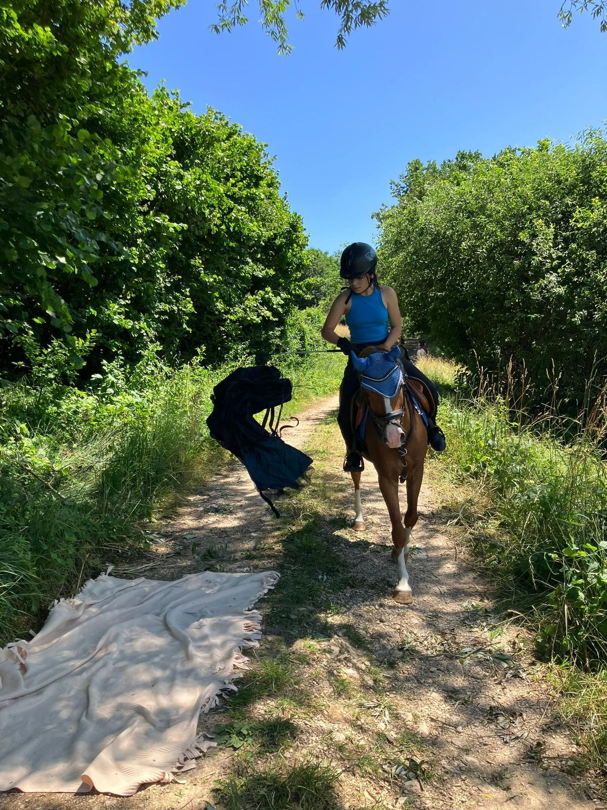 PHOTO-2023-06-28-19-11-42 8